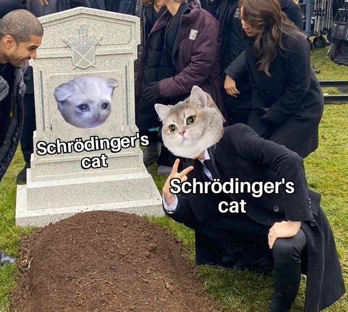 Schrodinger's Meme: Can a Joke Both Exist and Not Exist?